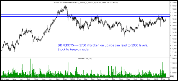 drreddy drreddy