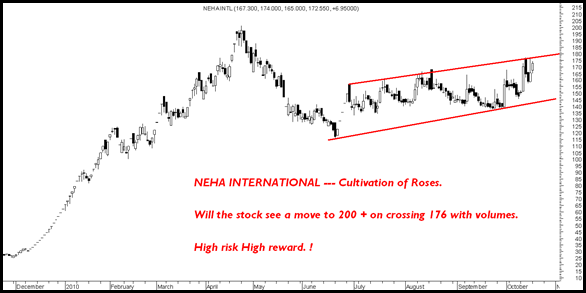 NehaIntl NehaIntl