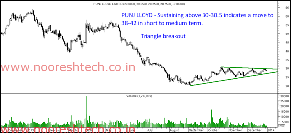 Punj Lloyd Punj Lloyd