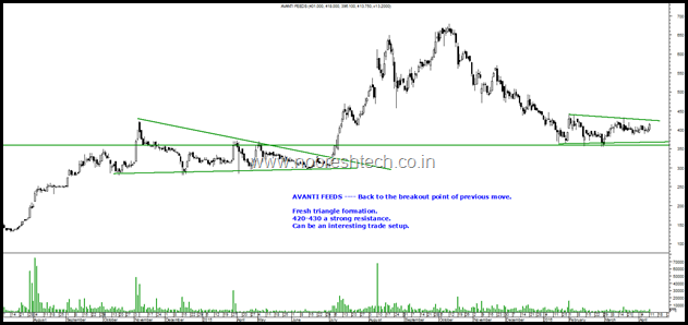 Avanti Feeds Avanti Feeds
